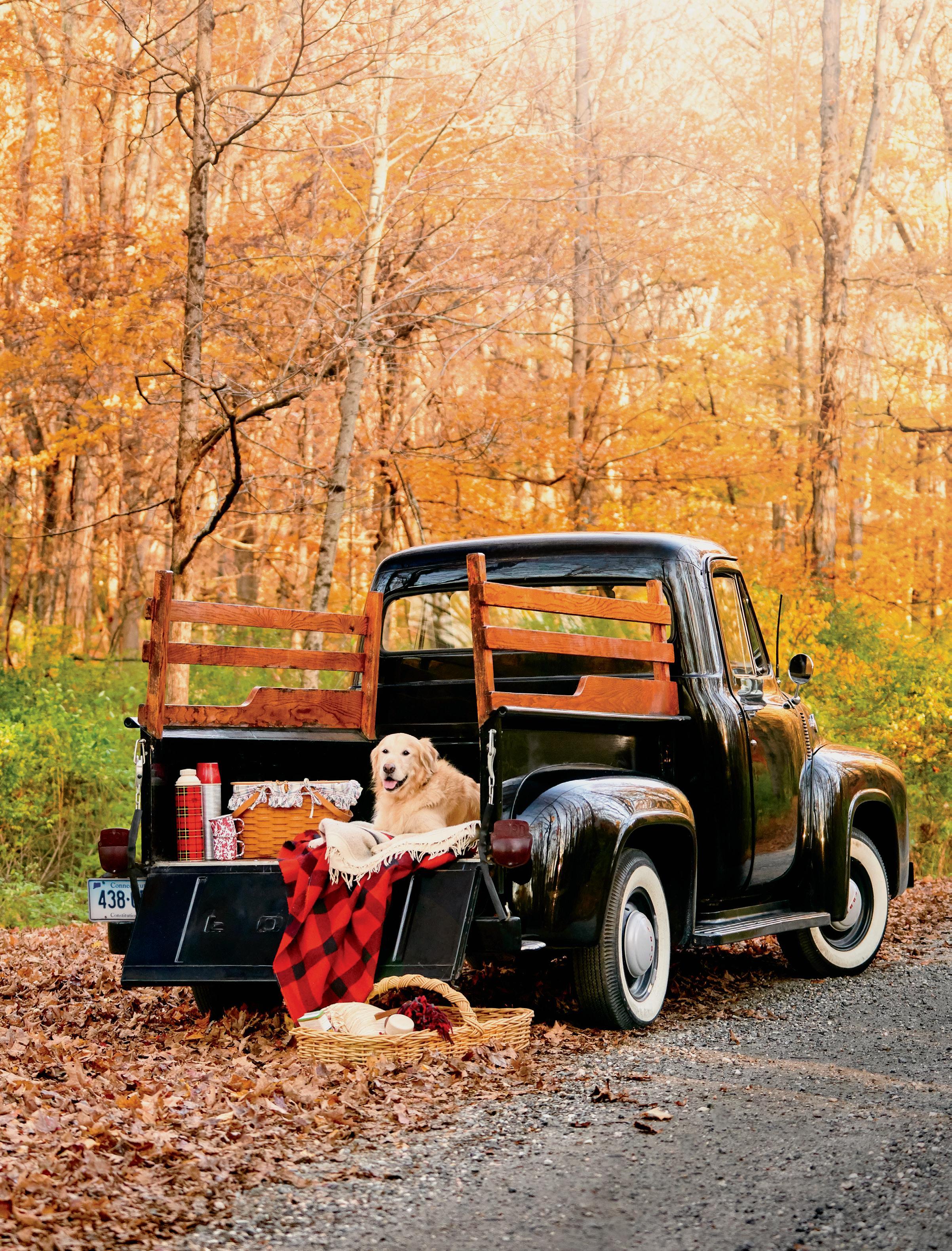 Yankee Magazine September/October 2018 by Yankee Magazine ...