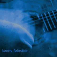 Stream Fluff and Gravy Records | Listen to <b>Kenny Feinstein</b> ...