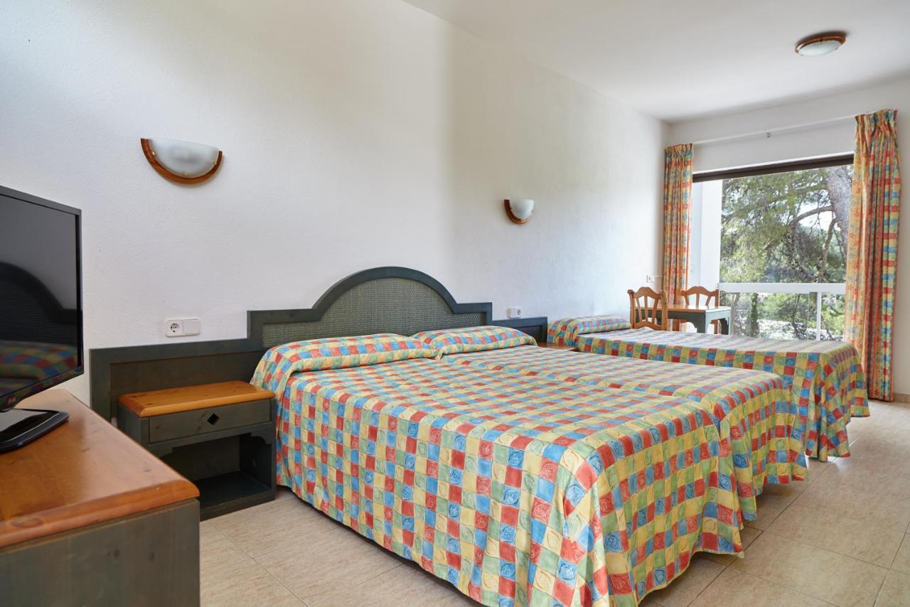 Speciale aanbieding: Studio