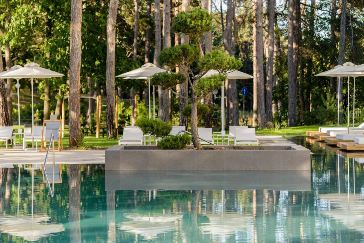 Familienzimmer mit Patio und Poolblick und unbegrenztem Zugang zum Health Spring Spa