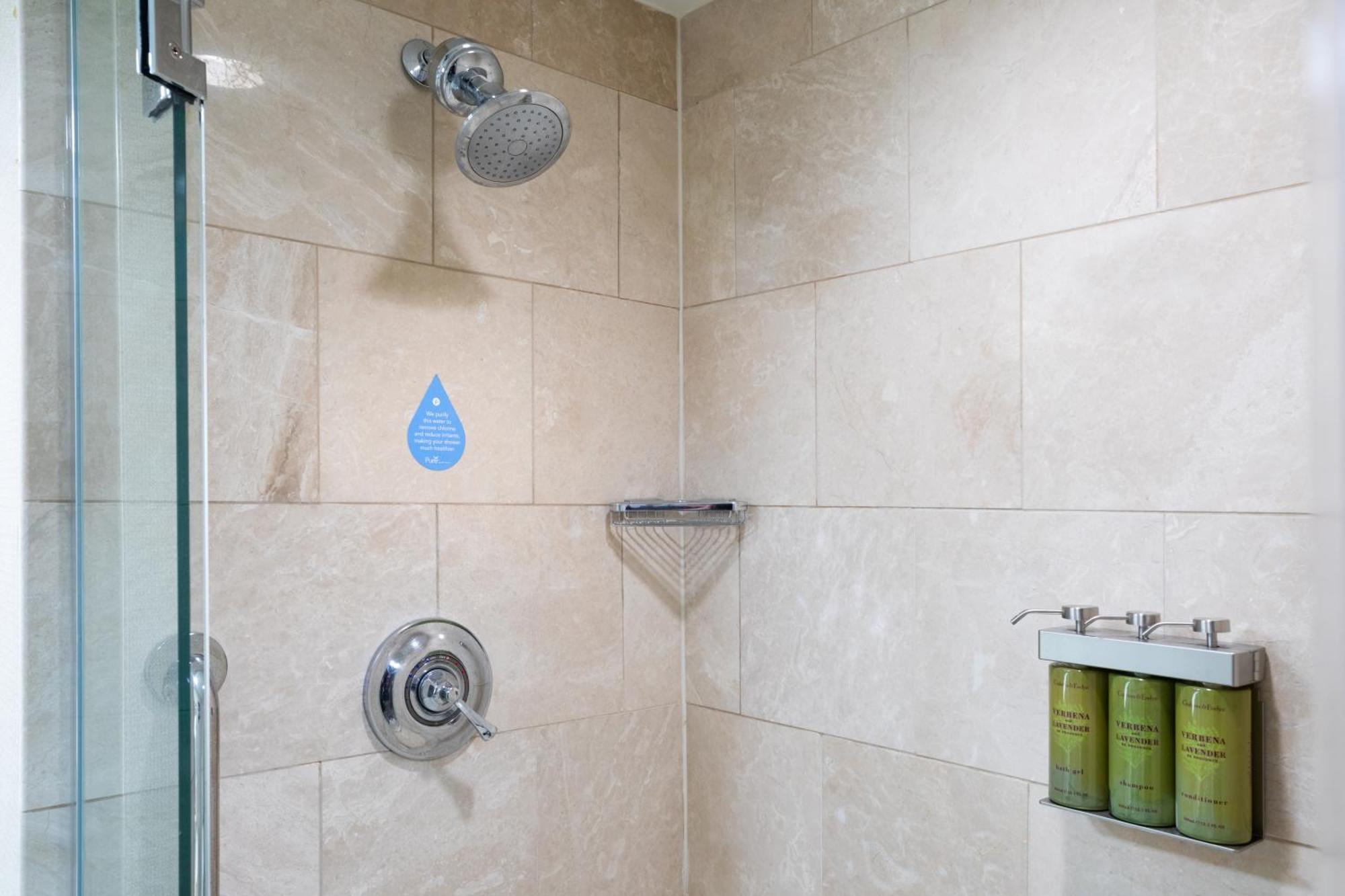 PURE Wellness King Room