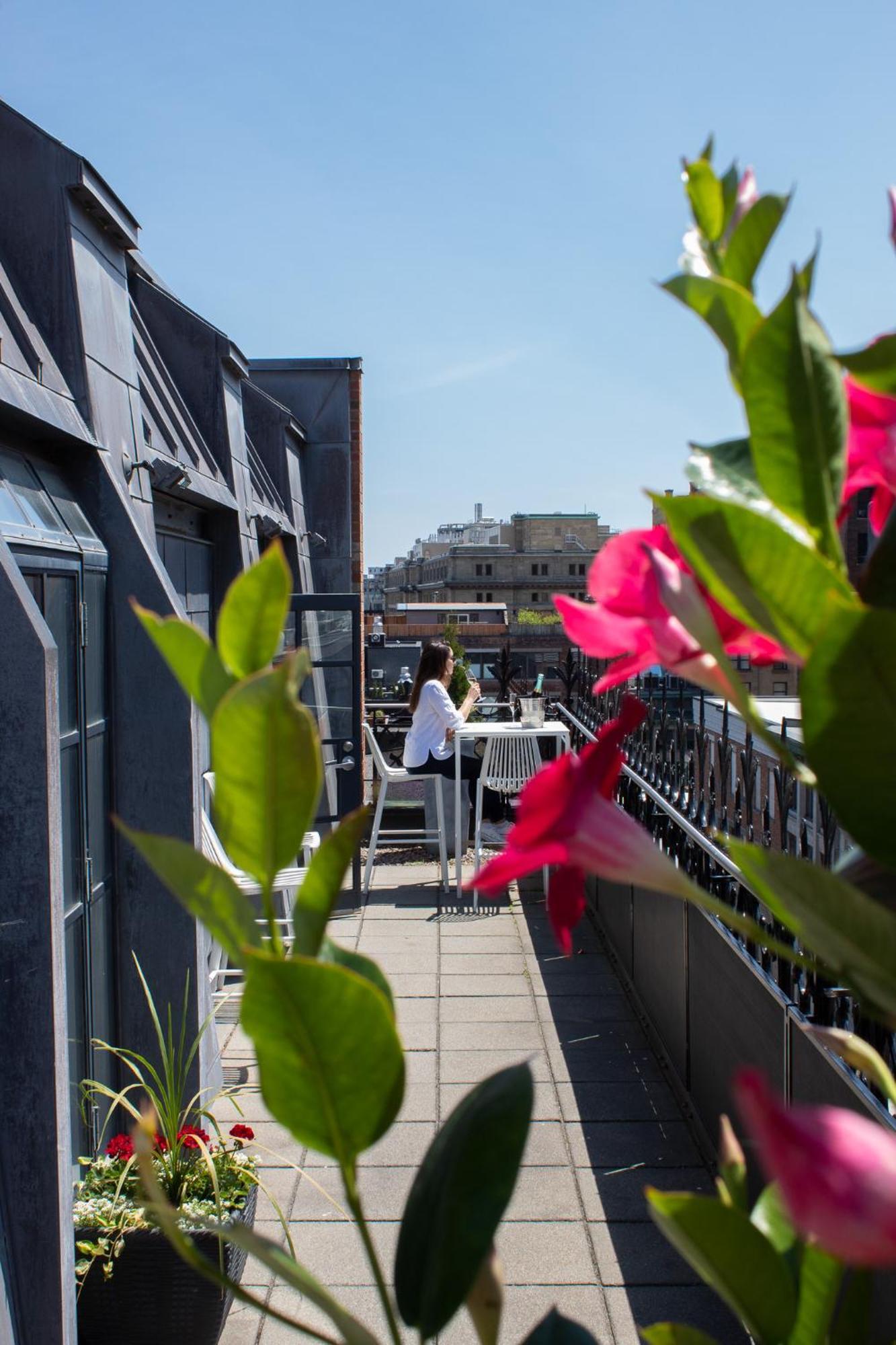 Premium Suite with Terrace,1756425932:JPEG