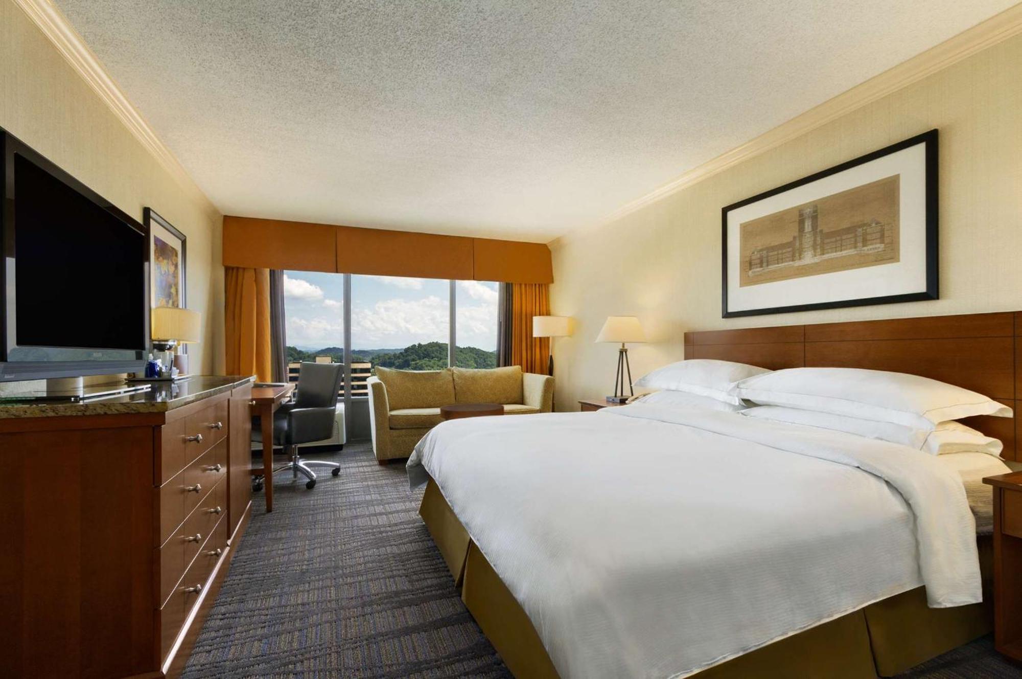 King Room with Sofa Bed