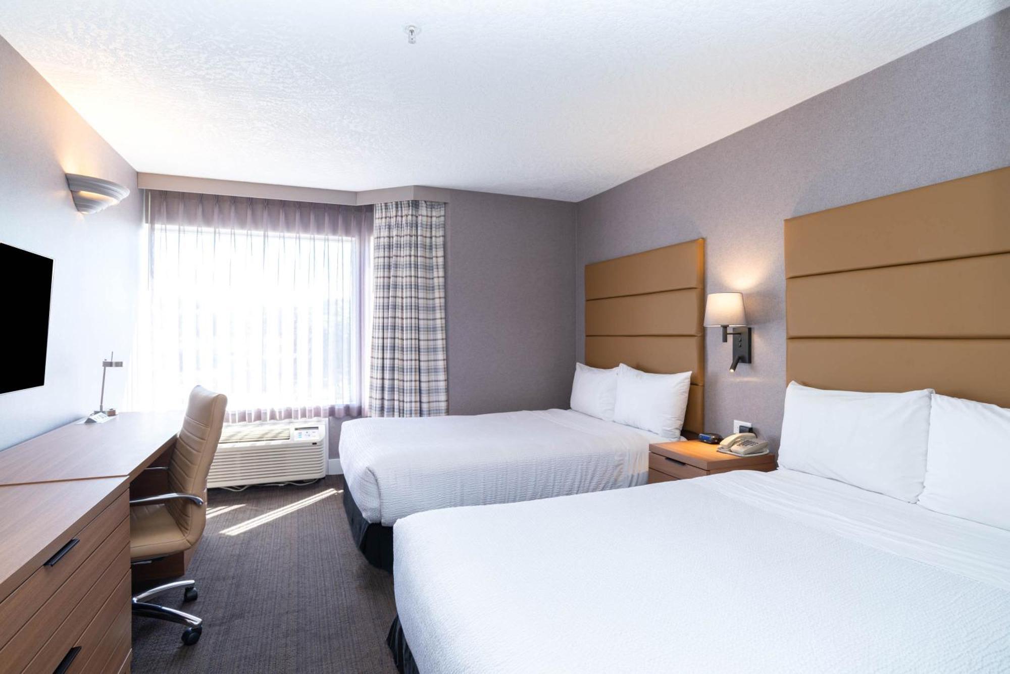 Standard Suite, 2 Double Beds, Sofa Bed, Kitchenette,1709887350:JPEG
