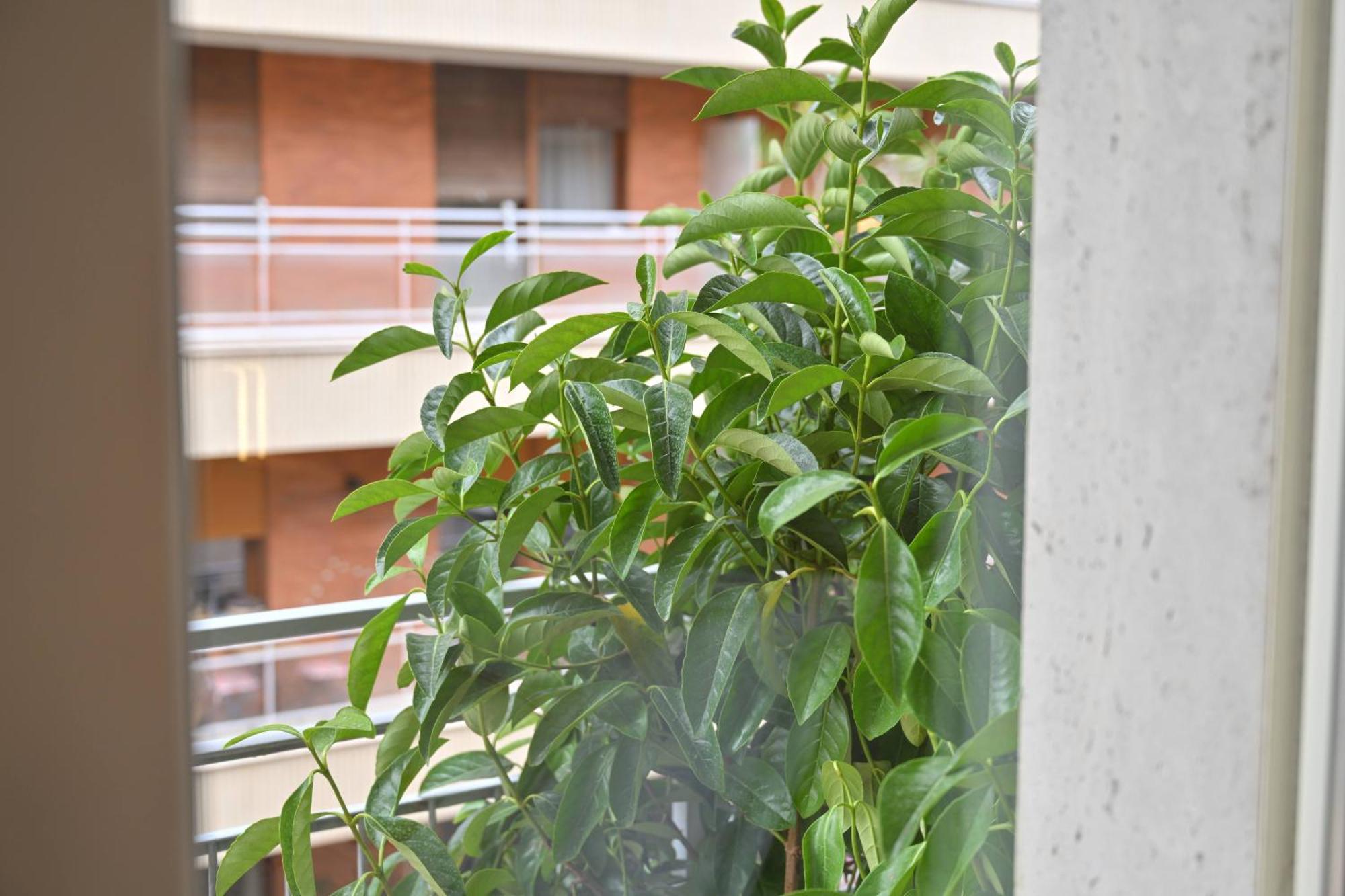Deluxe Double Room Balcony