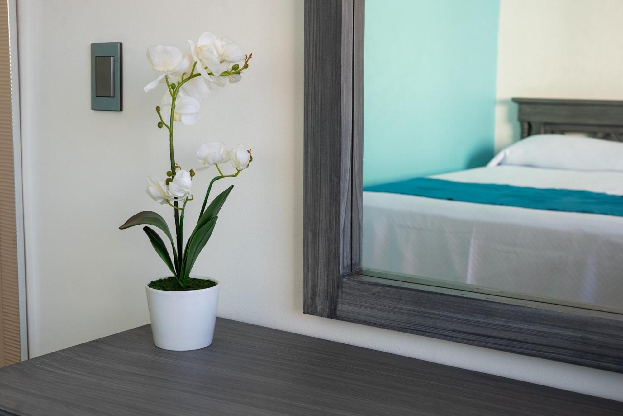 Standard Twin Room,1624760858:JPEG