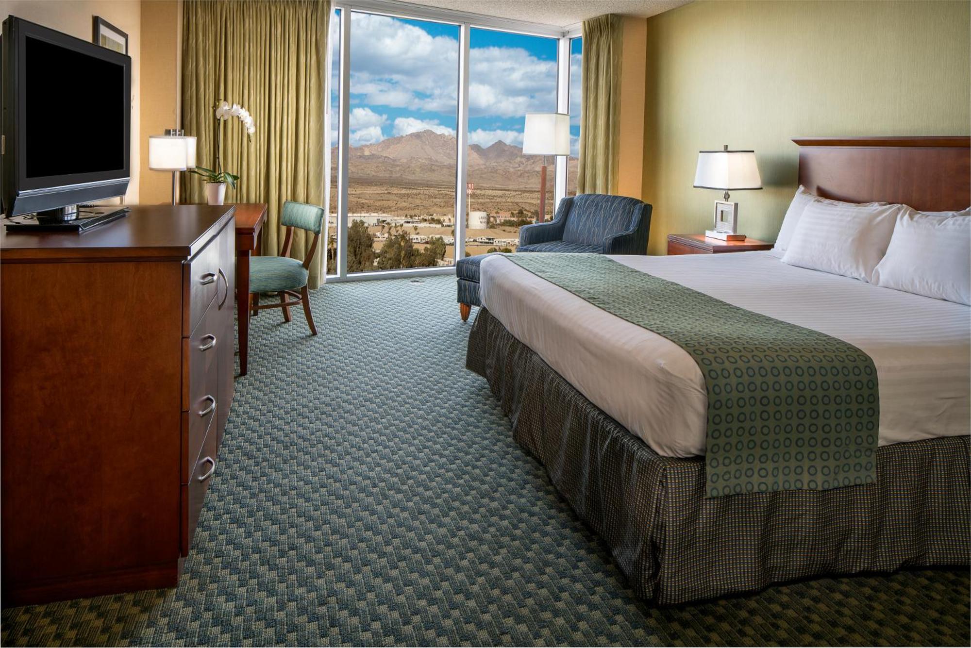 Panorama Room - 1 King Bed