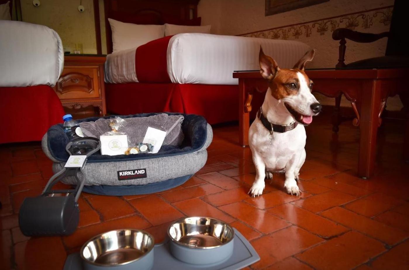 Habitación Doble Estándar - Admite perros