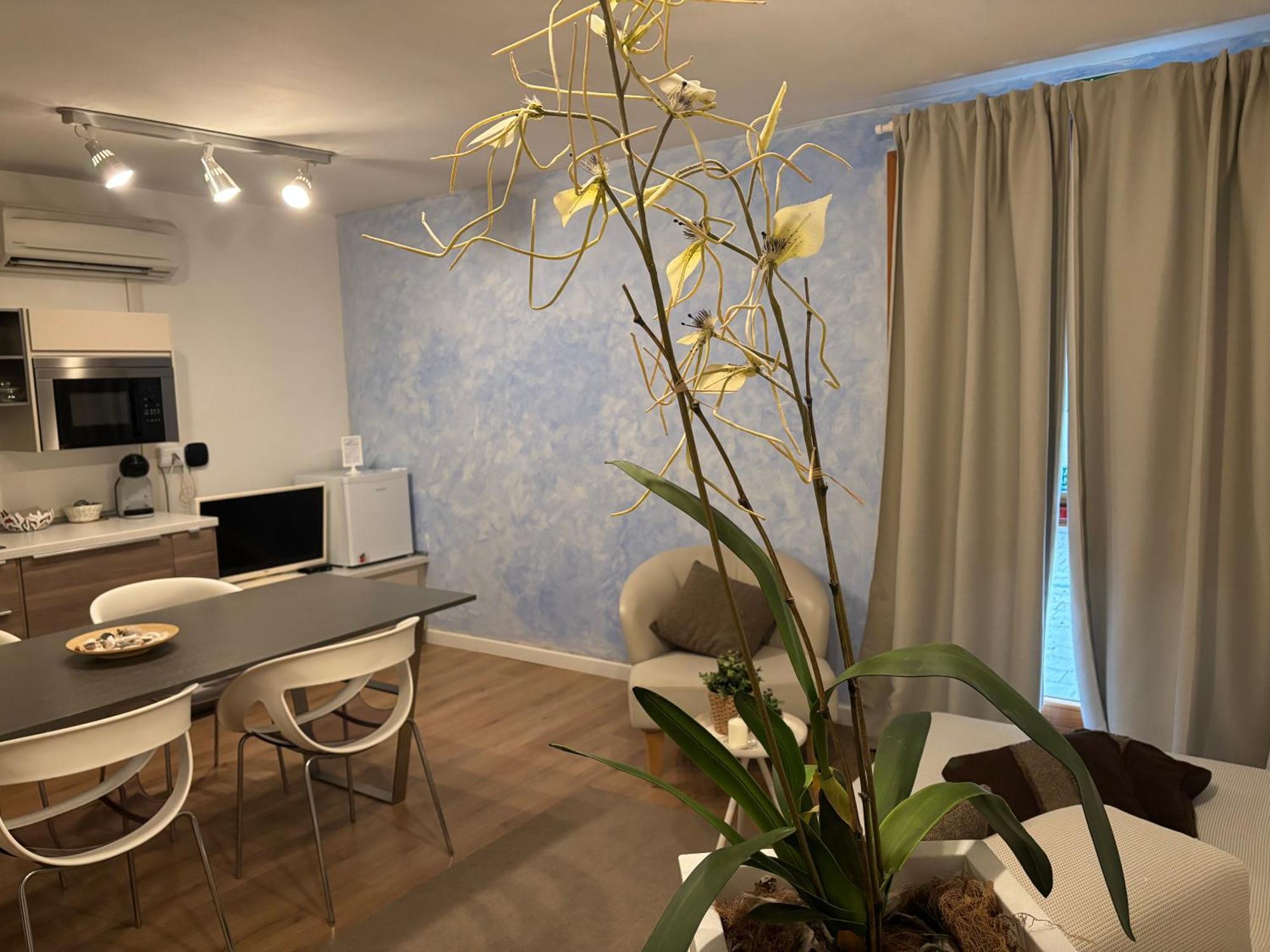 Apartment Ground Floor
