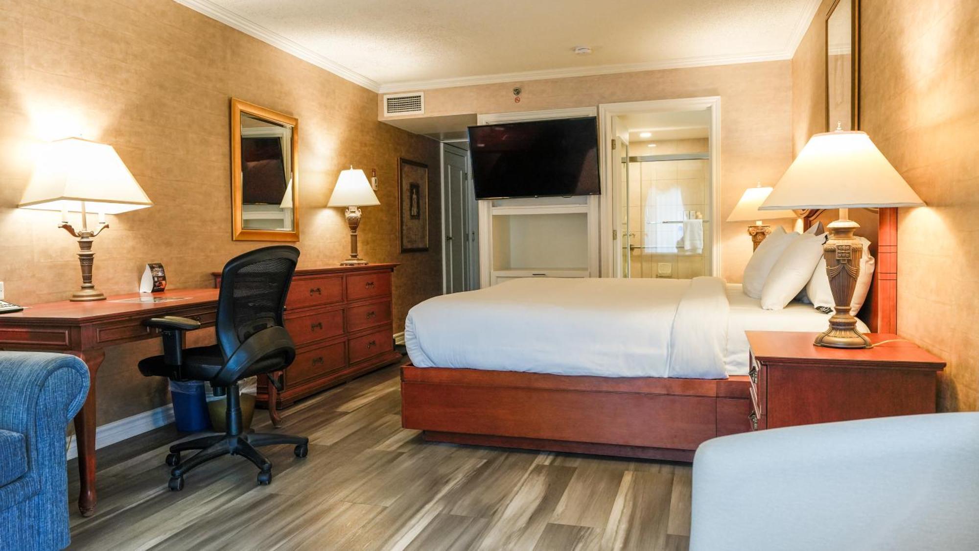 Signature Room, 1 King Bed and Sofa-Bed,1765934637:JPEG