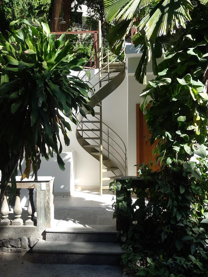 Suite Terrace