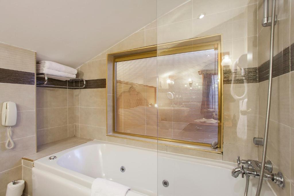 Habitación Doble Premium de 1 o 2 camas con vistas a Santa Sofía