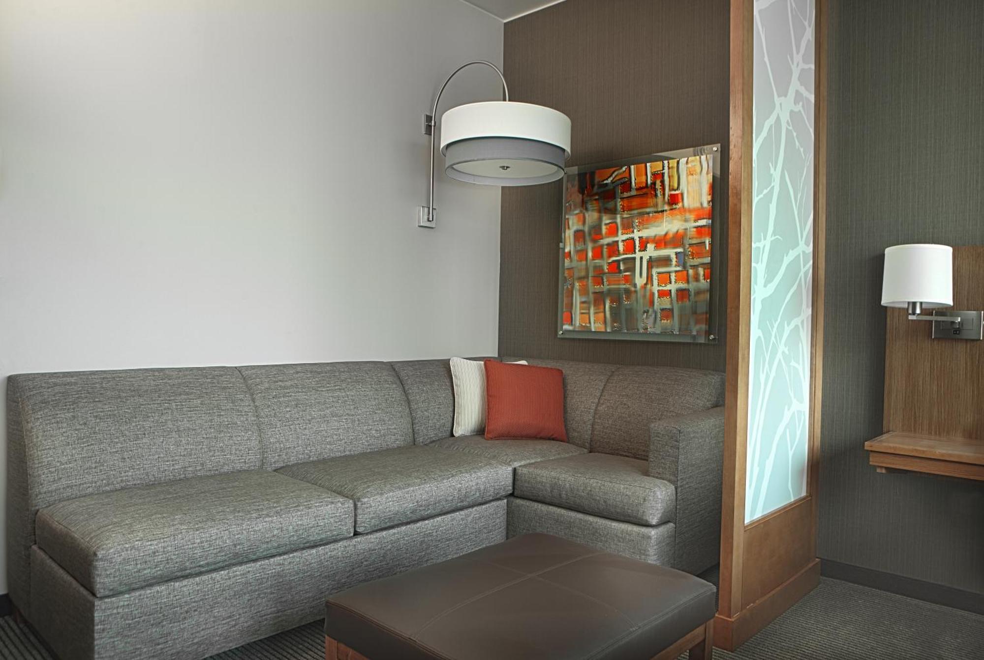 King Suite with Sofa Bed and View