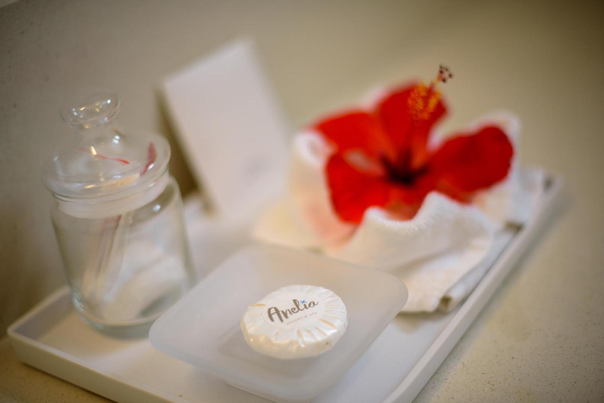 Anelia Ocean View,1005645232:JPEG