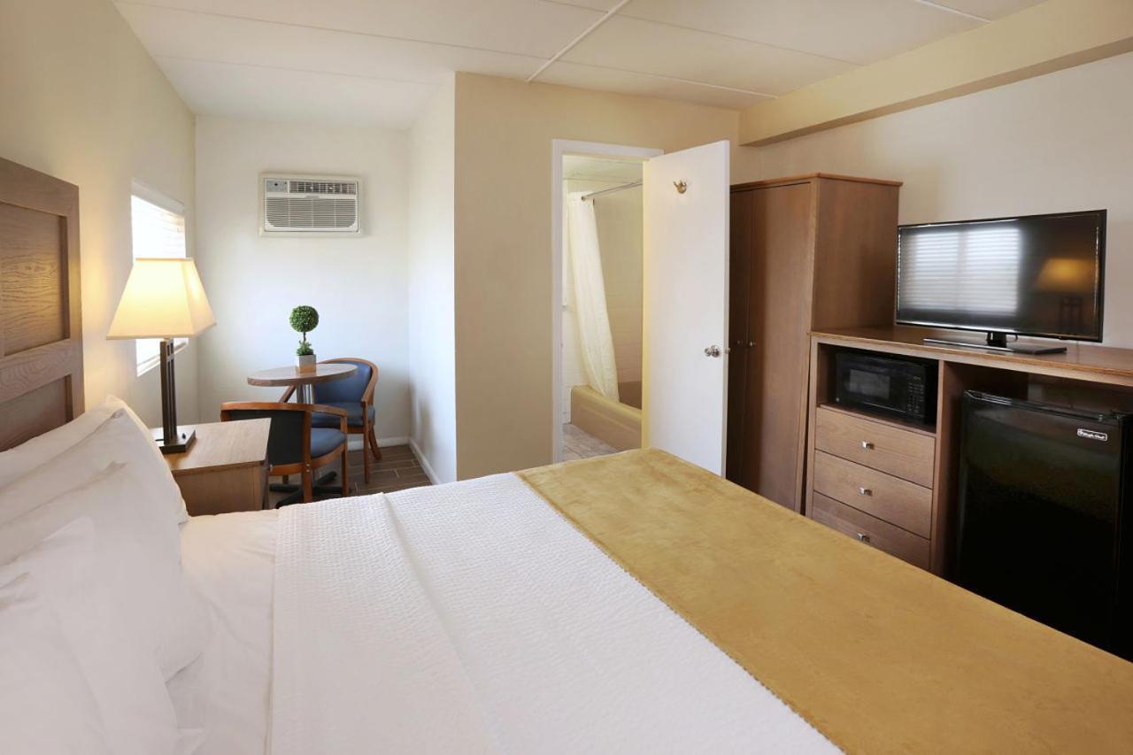 King Studio - No View,743291902:JPEG