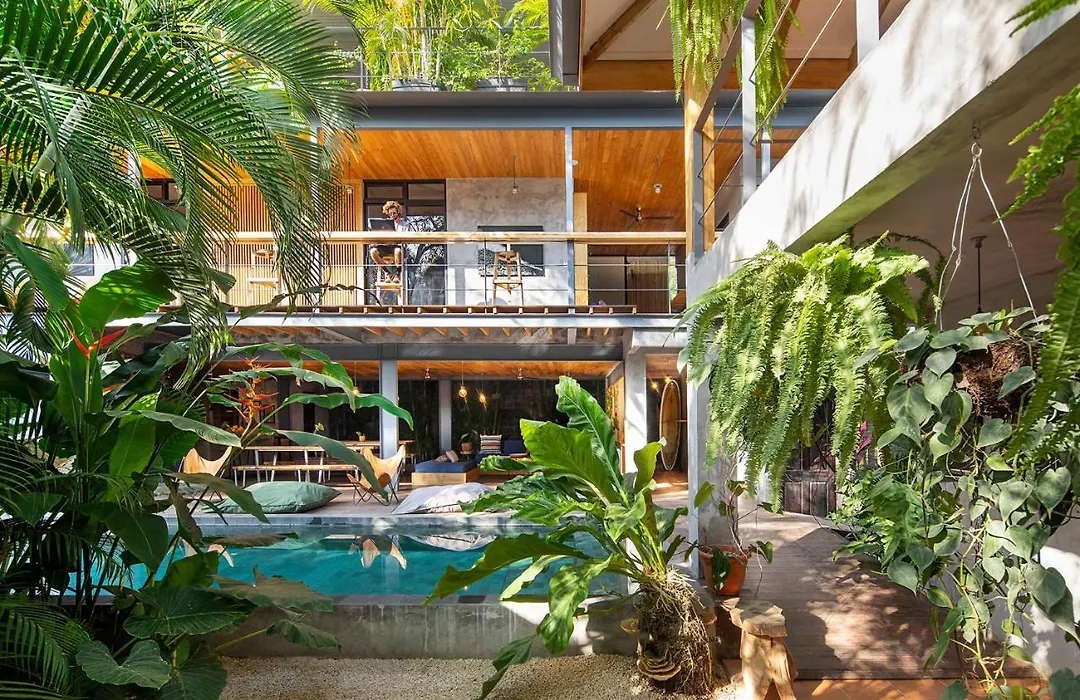 House Of Somos, Santa Teresa-1