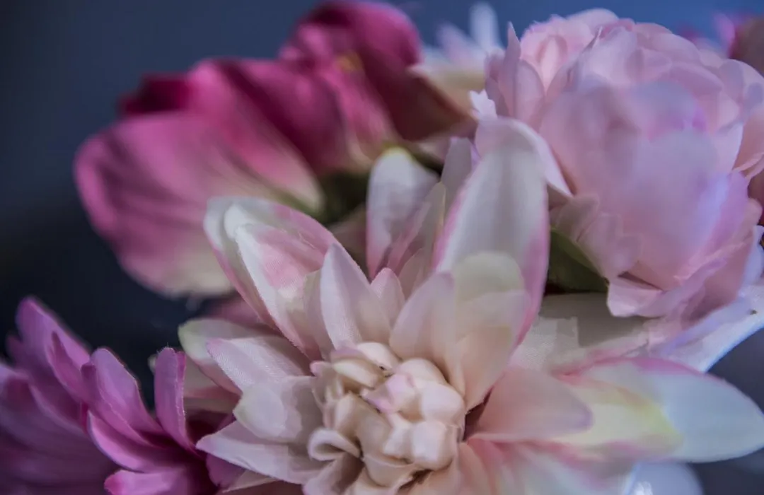 Le Stanze dei Fiori-1