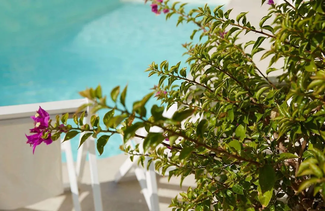 Mon Repos Palace - Adults Only-1