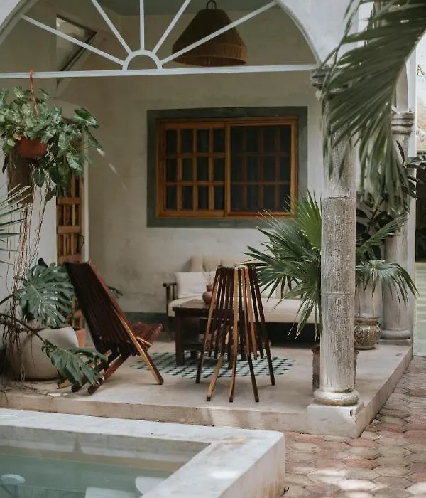 Casa Mezcla - Bed & Breakfast-1