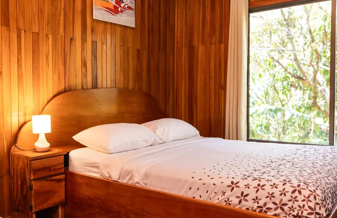Jaguarundi Jungle Lodge - Monteverde-1