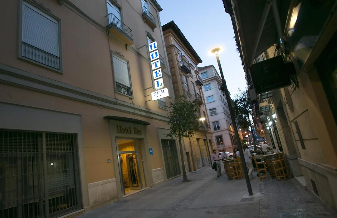 Hotel Sur Malaga-1