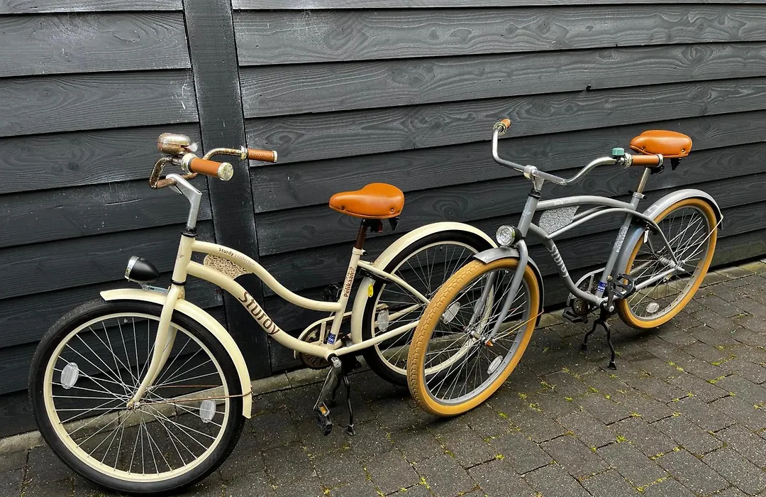 Noflik Heerenveen-1
