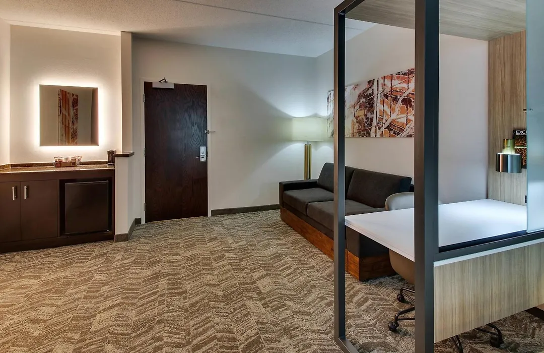 Springhill Suites By Marriott Birmingham Downtown At Uab-1