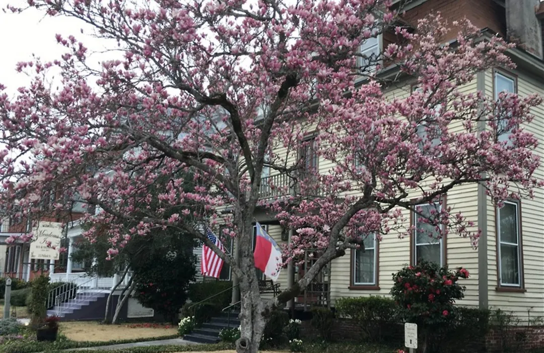 Meadows Inn-1