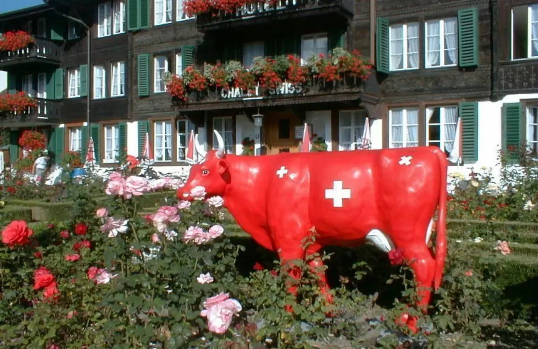 Hotel Chalet Swiss-1