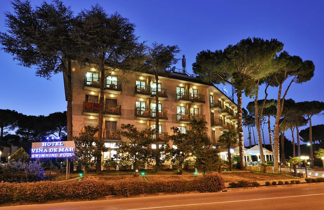 Hotel Vina De Mar-1