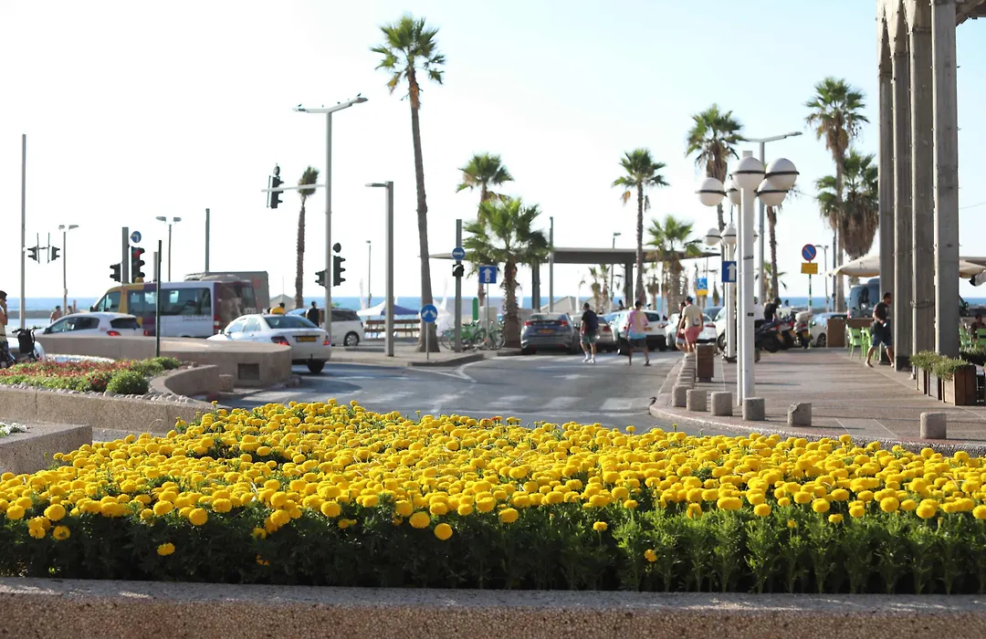 Miami Beach Hotel Tel Aviv-1