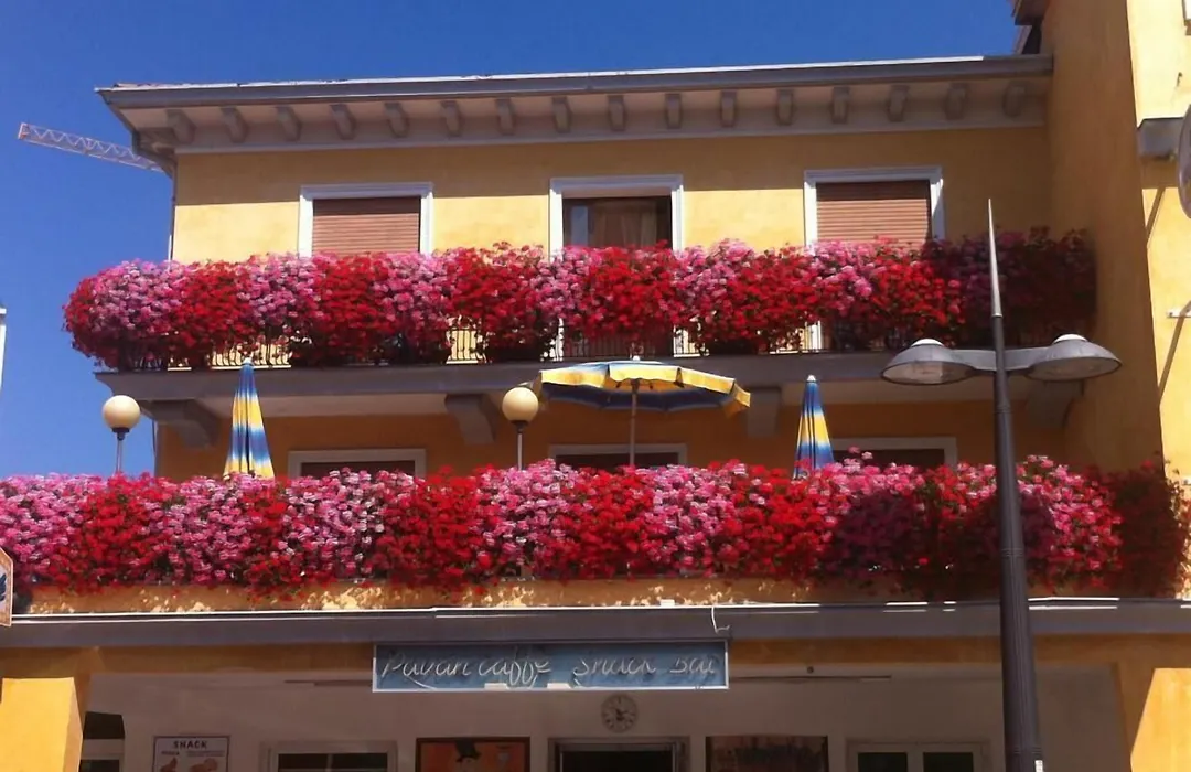 Hotel Al Mare-1