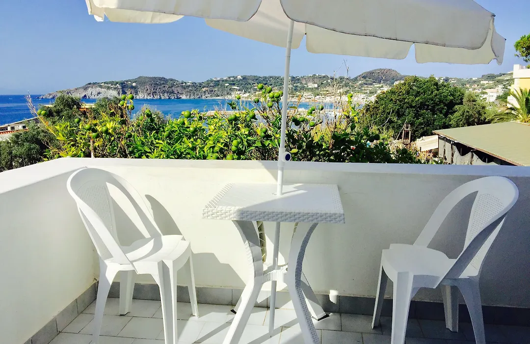 Harbour View B&B-1