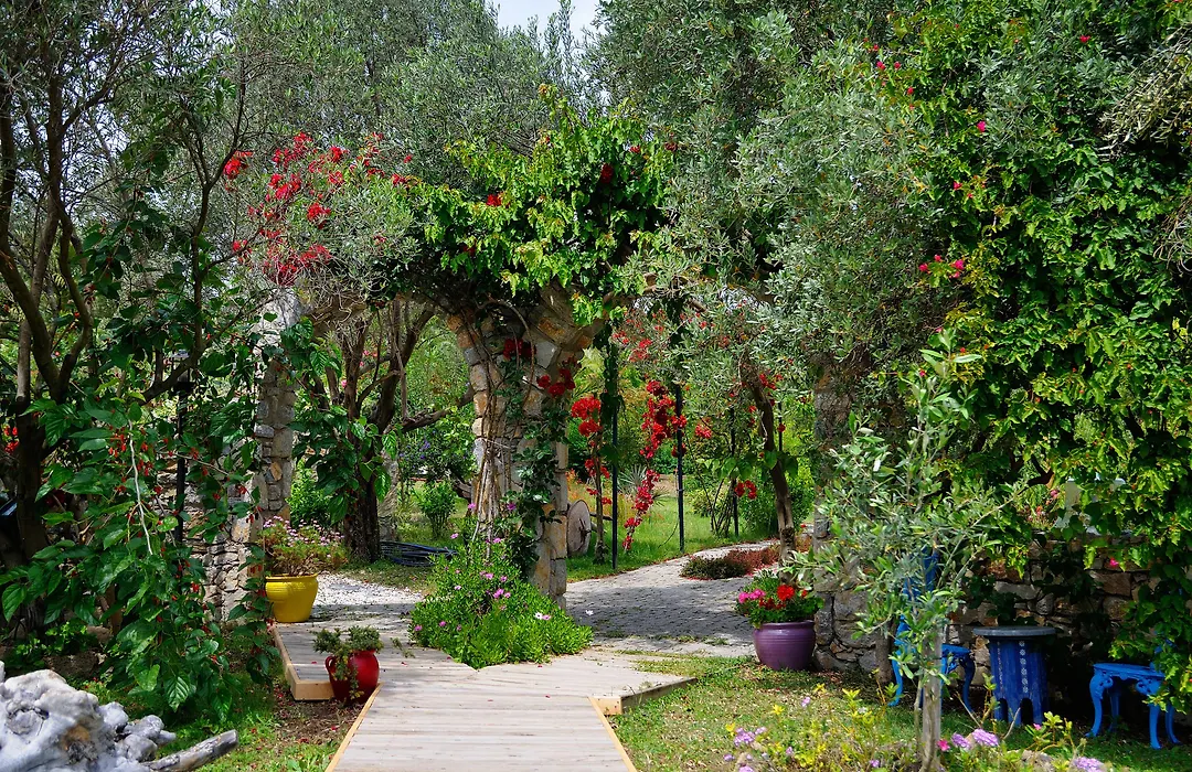 Olive Farm Of Datca Guesthouse (Adults Only)-1