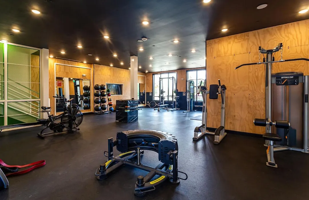 Kasa Freemorewest Charlotte-1