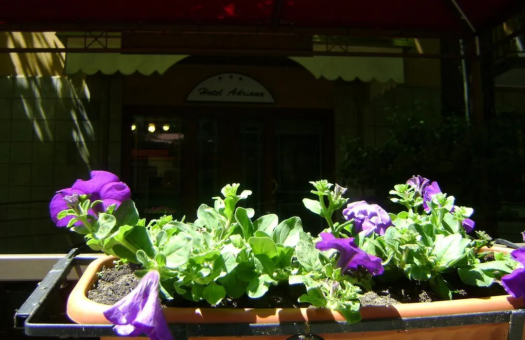 Hotel Adriana-1