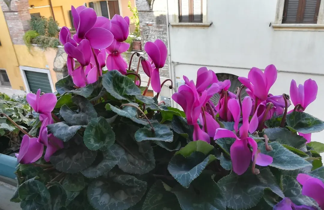 A Casa Di Luca-1