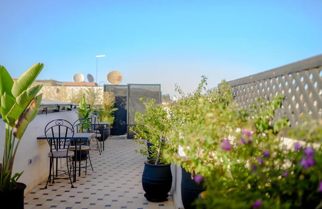 Riad Amina-1