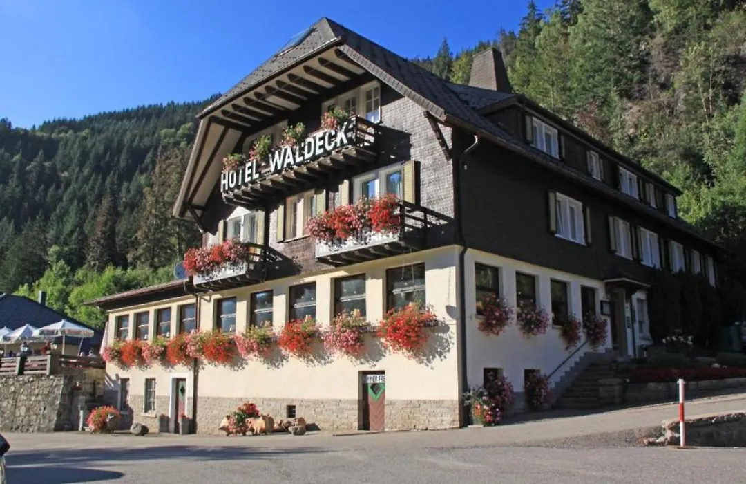 Hotel Waldeck in Todtnau-1