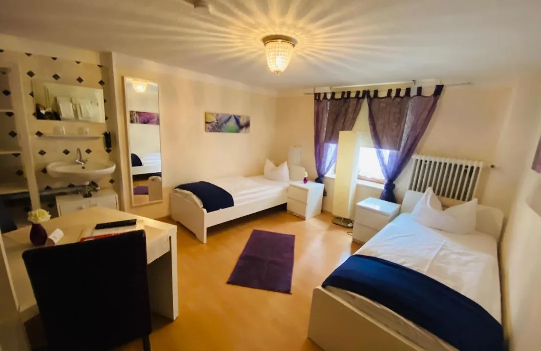 Airport Hotel Hallbergerhof-1