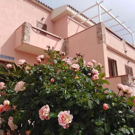 The Roses Garden-2