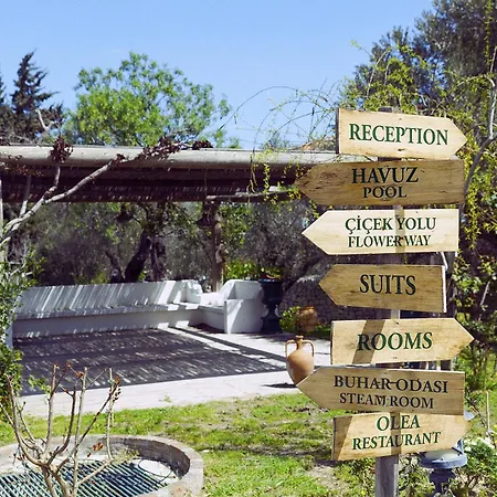 Olive Farm Of Datca Guesthouse (Adults Only)-2