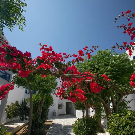 Acrogiali Beachfront Hotel Mykonos-3