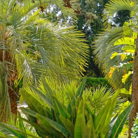 Radisson Hotel Cannes Seaside-2