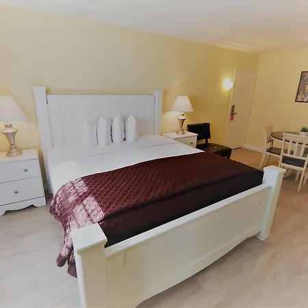 Hollywood Celebrity Hotel-2
