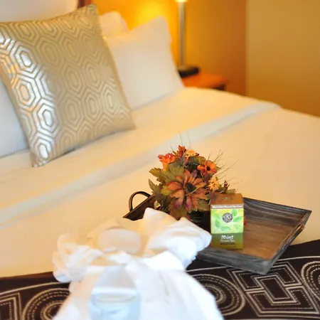 Hotel Xola Trademark Collection By Wyndham-3