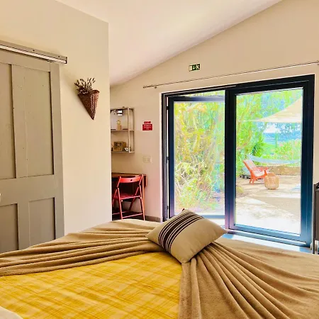 Gato Preto De Silves - Adults Only-2