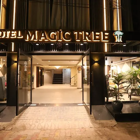 Hotel The Magic Tree - Paharganj New Delhi-3