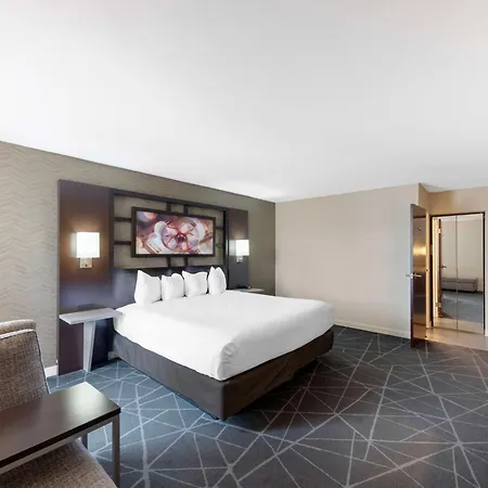 Best Western Plus Austin Central-3