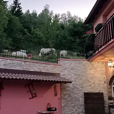 B&B Casa dell'Orso-3
